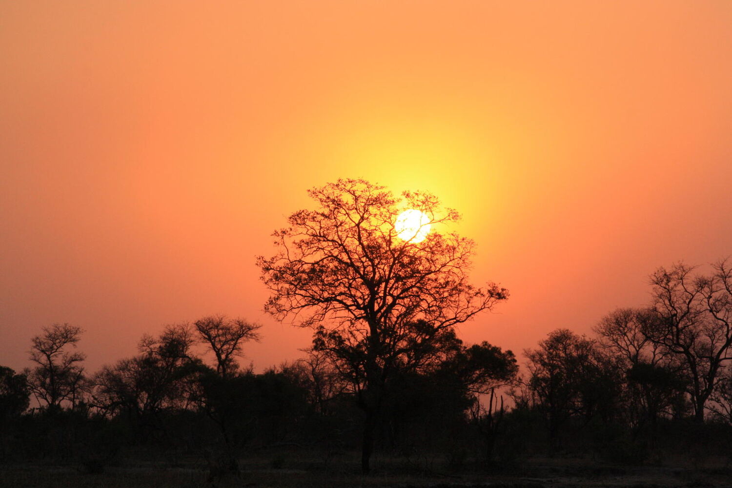 PlaceholderImage1302